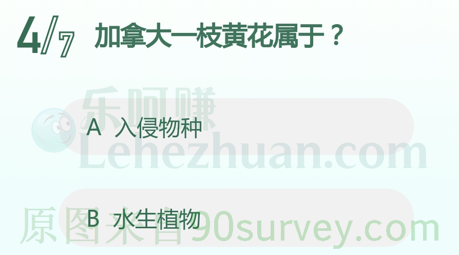 加拿大一枝黄花属于?