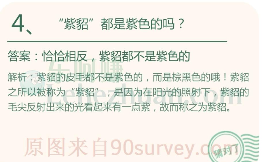 “紫貂”都是紫色的吗?