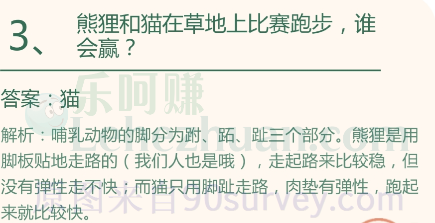 熊狸和猫在草地上比赛跑步，谁会赢？