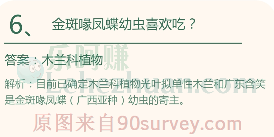 金斑喙凤蝶幼虫喜欢吃什么？