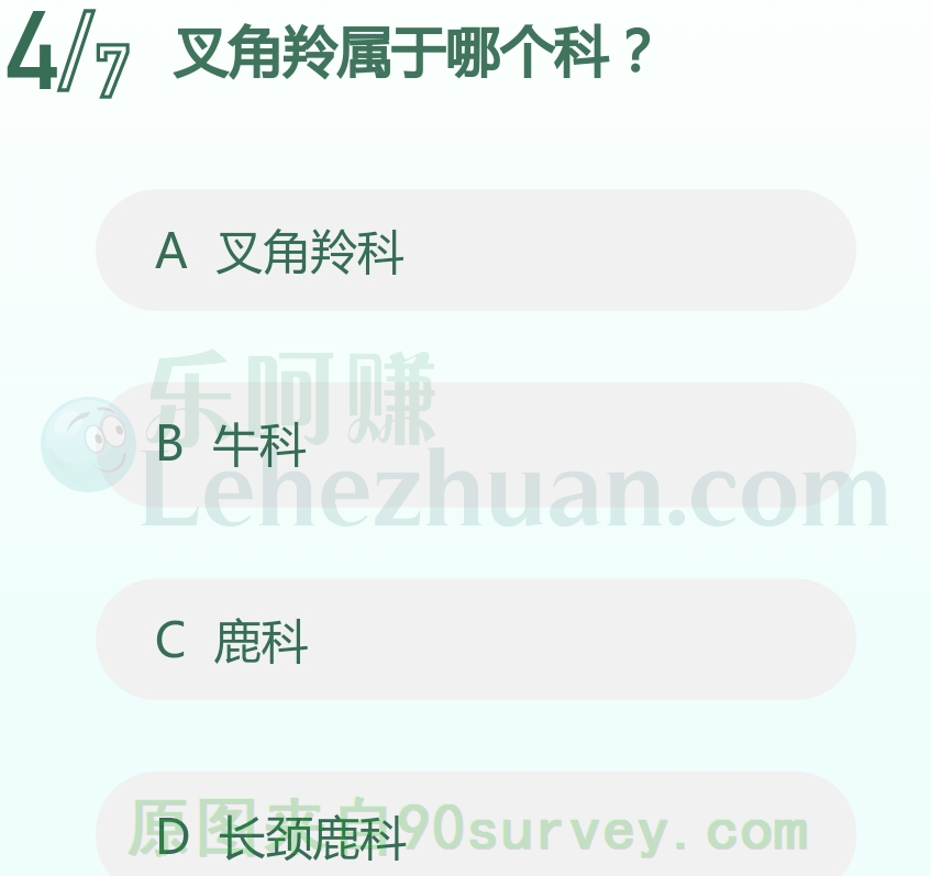 叉角羚属于哪个科?