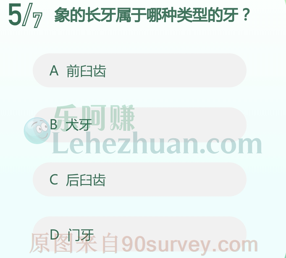 象的长牙属于哪种类型的牙？