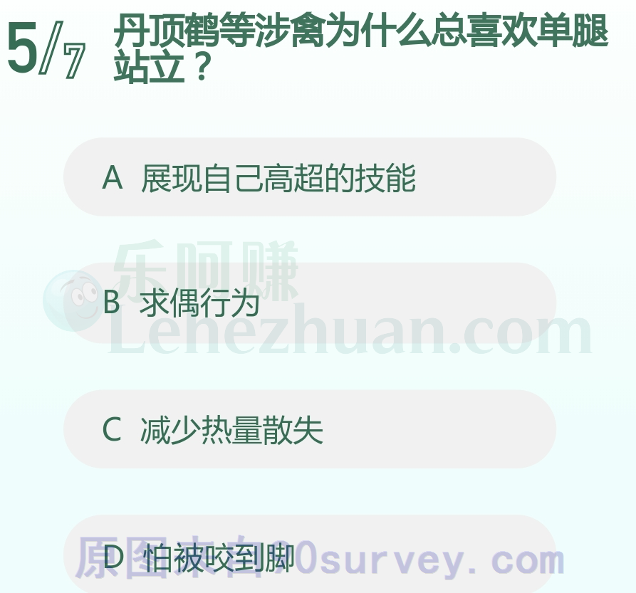 丹顶鹤等涉禽为什么总喜欢单腿站立?