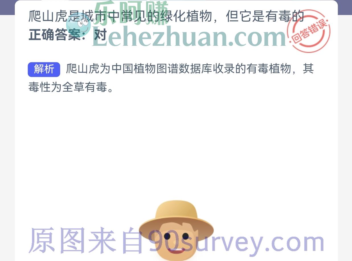 城市中常见的绿化植物爬山虎有毒吗?