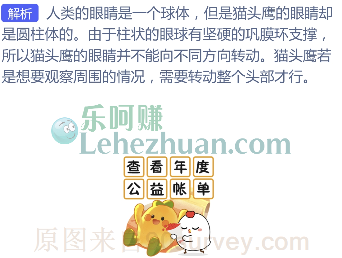 猫头鹰的眼睛是什么圆柱体的 猫头鹰的眼睛是什么圆柱体的