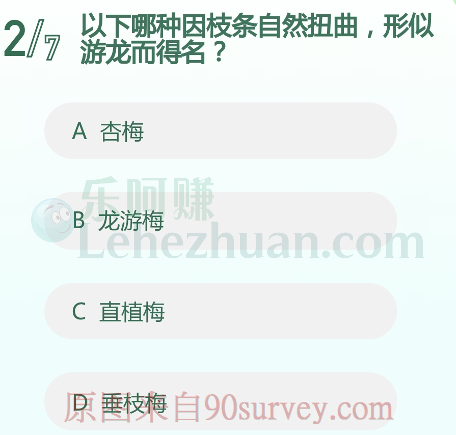 以下哪种因枝条自然扭曲,形似游龙而得名?