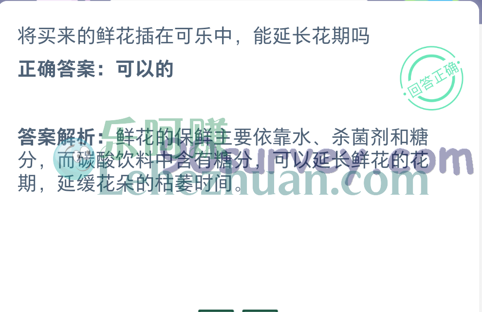 将买来的鲜花插在可乐中能延长花期吗?