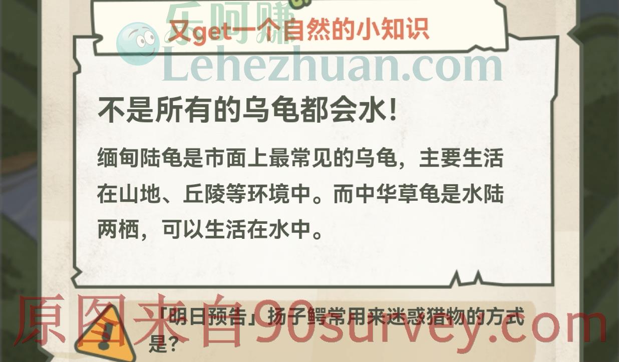 无法在江水里生活的乌龟是?答案:缅甸陆龟 无法在江水里生活的乌龟是?答案:缅甸陆龟