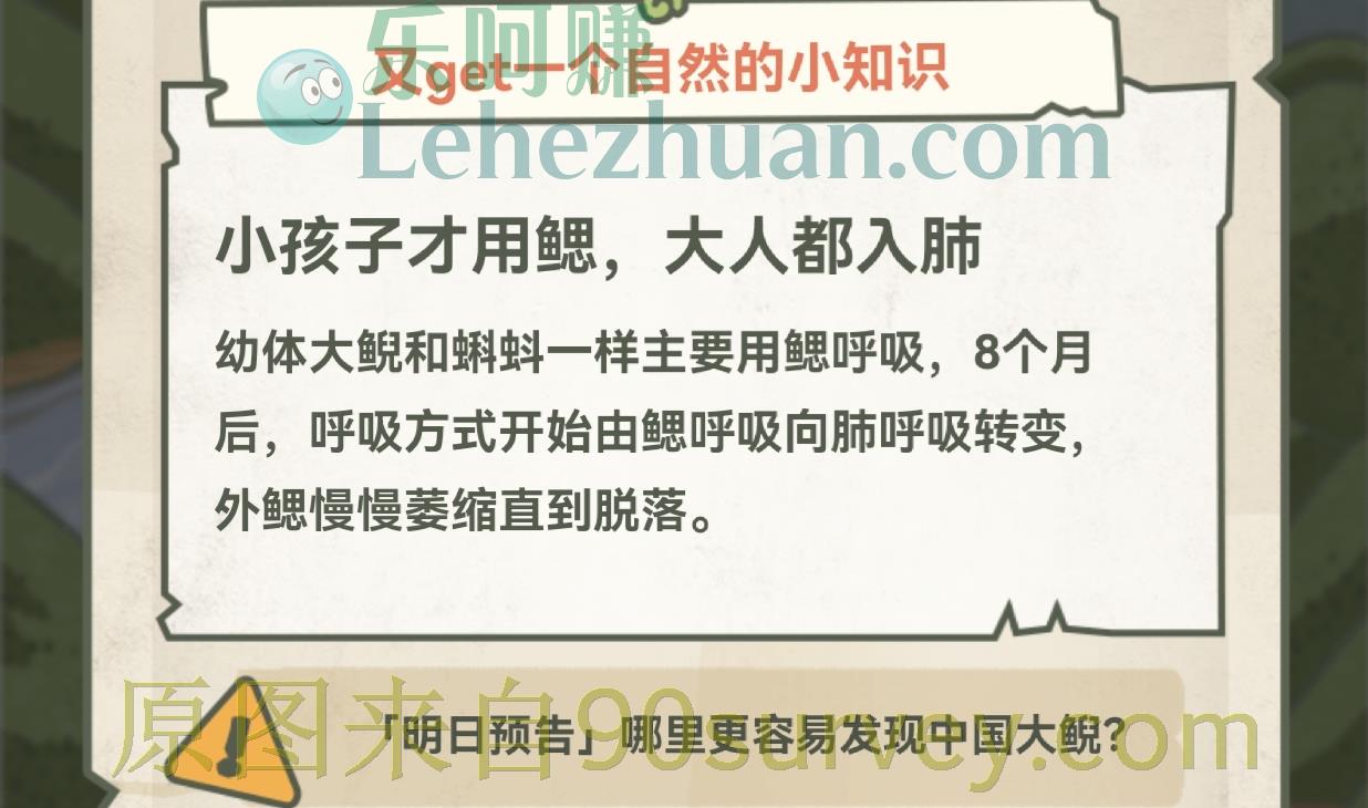 成年的娃娃鱼用什么呼吸?