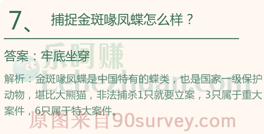 捕捉金斑喙凤蝶怎么样?