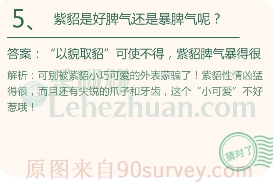 紫貂是好脾气还是暴脾气呢?