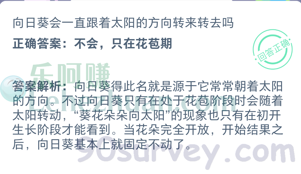 向日葵会一直跟着太阳的方向转来转去吗?正确答案:不会,只在花苞期 向日葵会一直跟着太阳的方向转来转去吗?正确答案:不会,只在花苞期