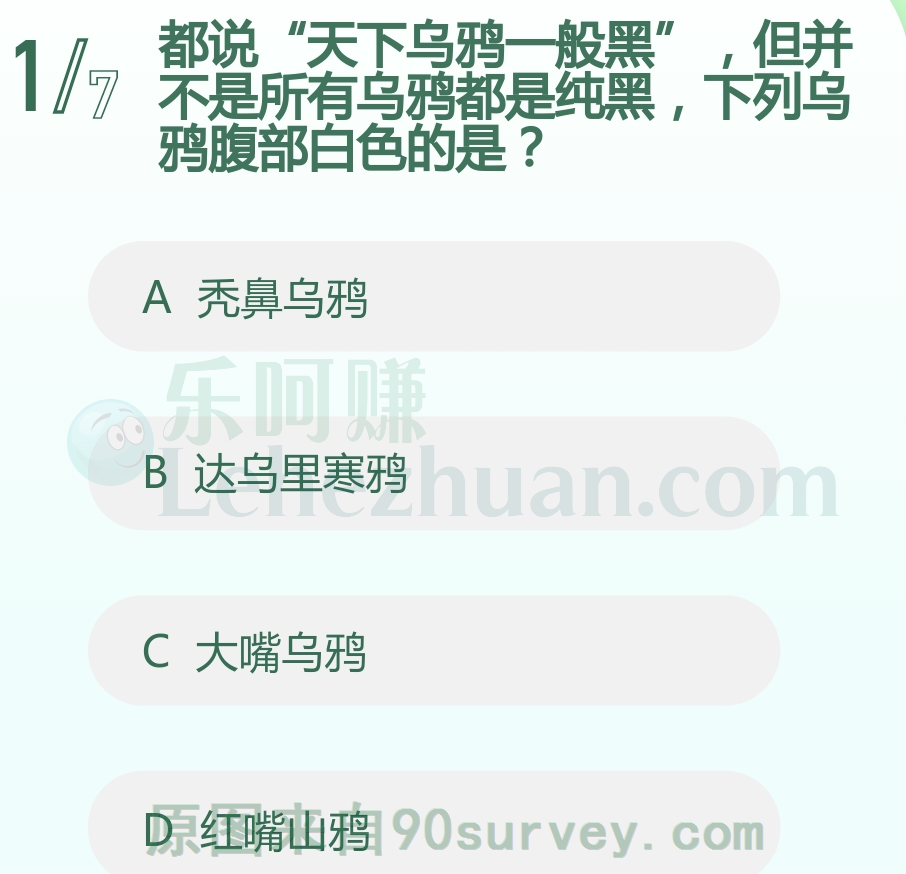 都说“天下乌鸦一般黑”,下列乌鸦腹部白色的是?