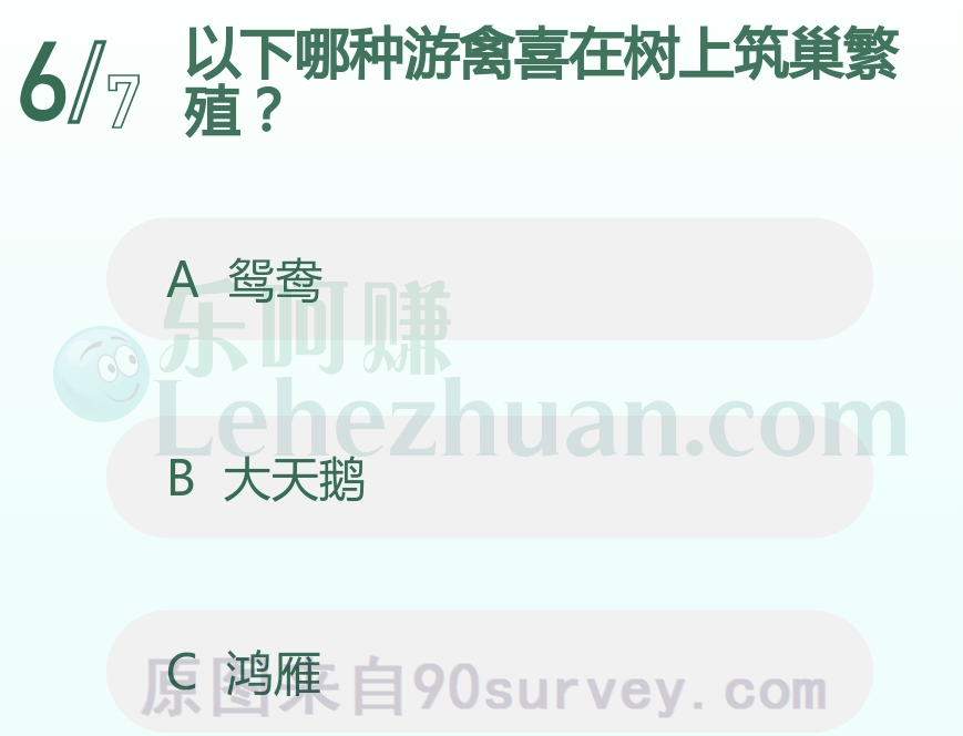 以下哪种游禽喜在树上筑巢繁殖？