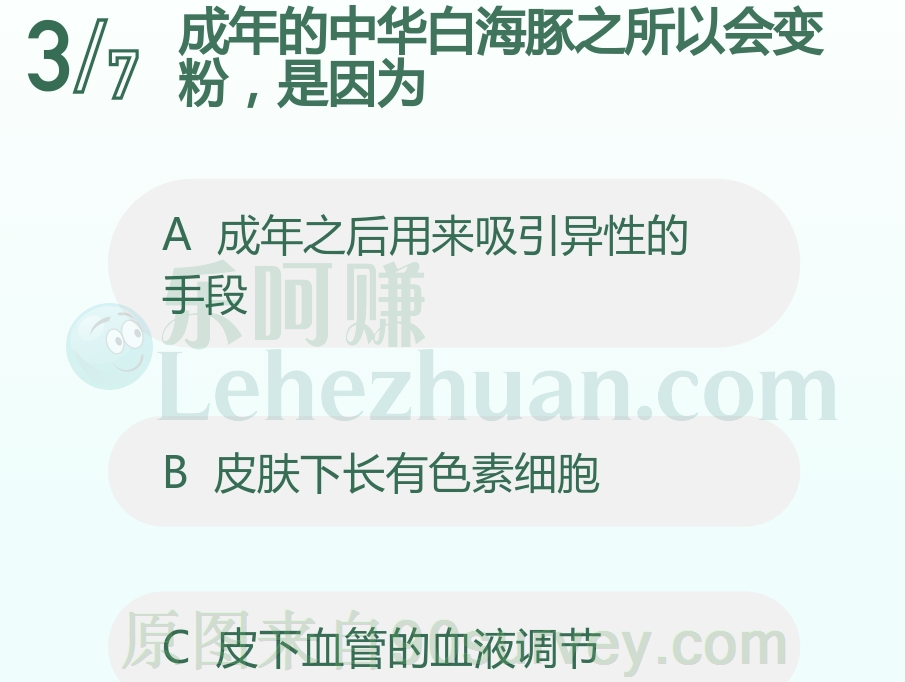成年的中华白海豚之所以会变粉,是因为?