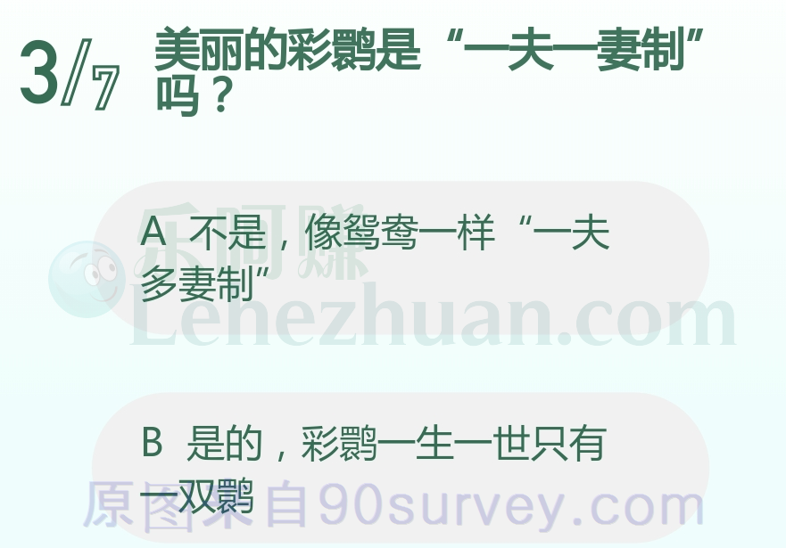美丽彩鹮是一夫一妻制吗?