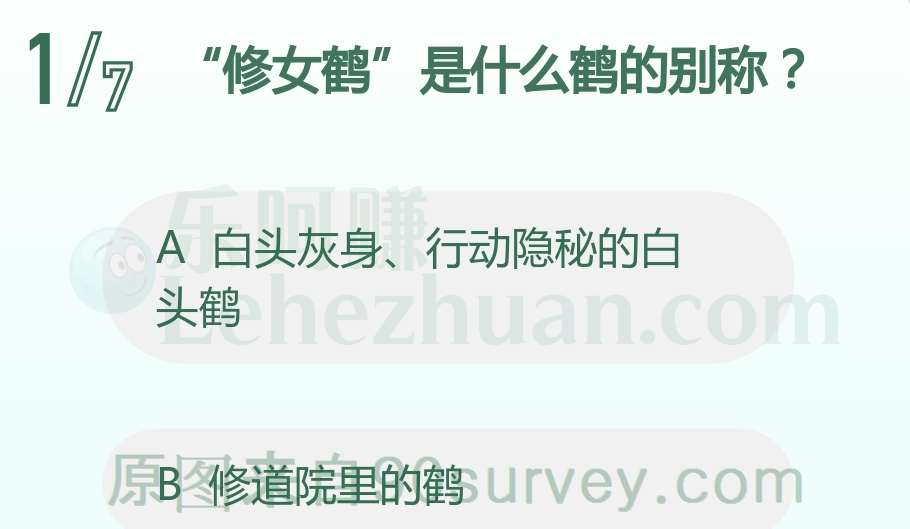 "修女鹤"是什么鹤的别称?