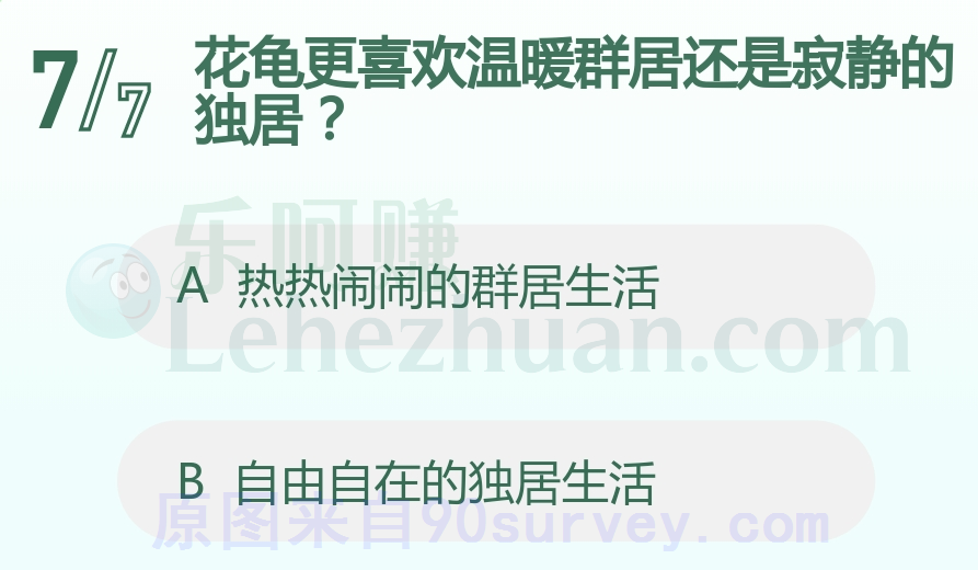 花龟更喜欢温暖群居还是寂静的独居?