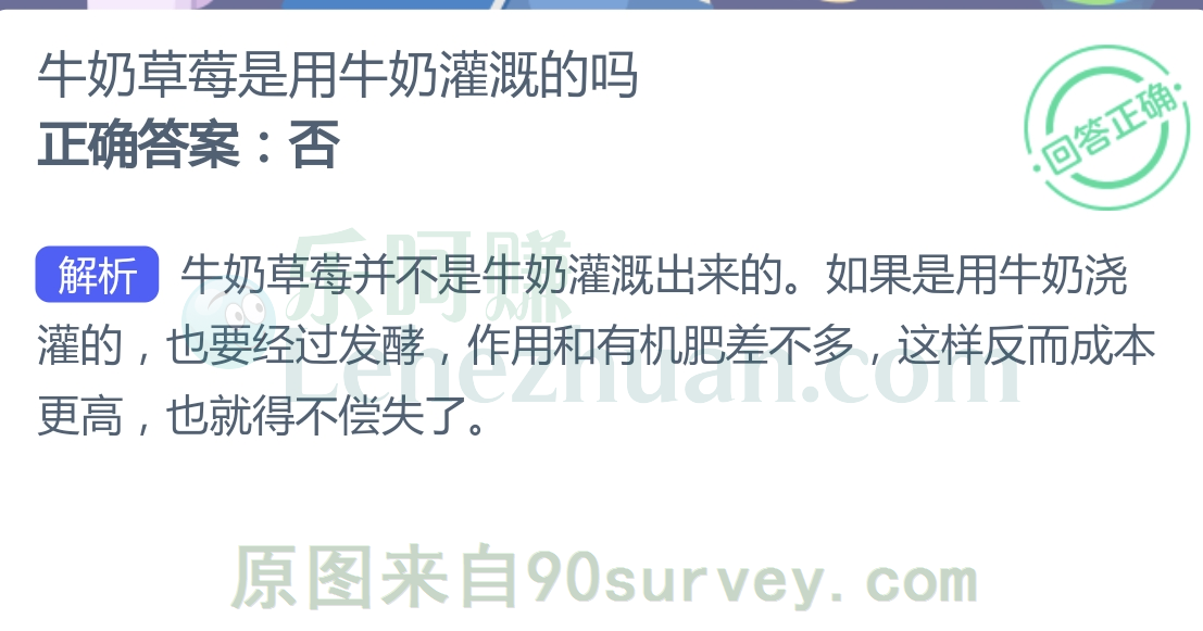 牛奶草莓是用牛奶灌溉的吗?