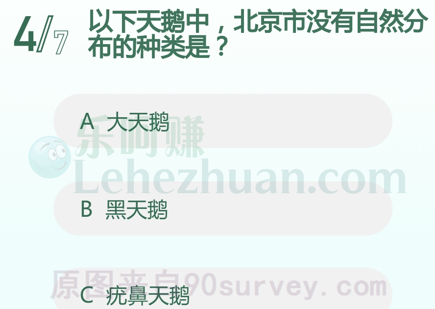 以下天鹅中,北京市没有自然分布的种类是?