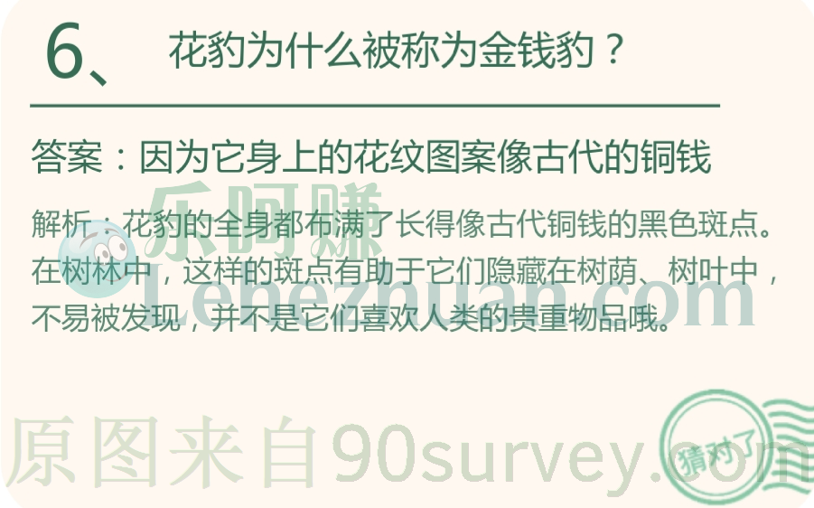 花豹为什么被称为金钱豹?