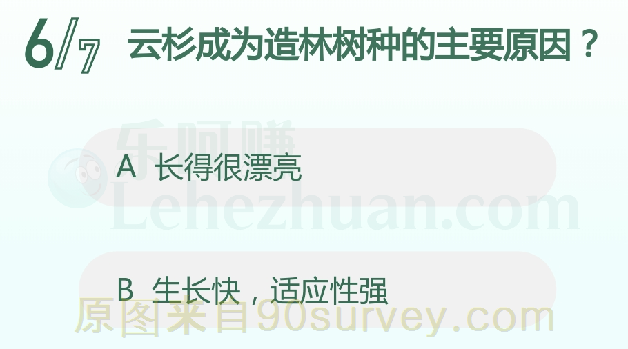云杉成为造林树种的主要原因？