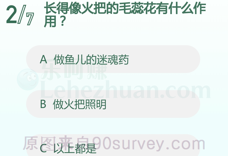 长得像火把的毛蕊花有什么作用？