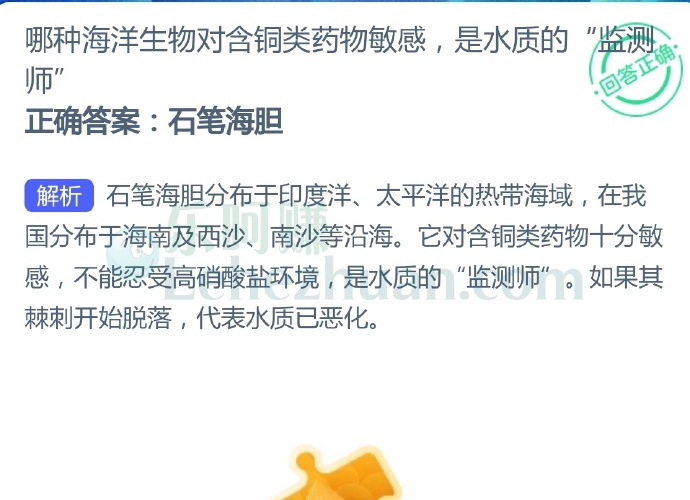 哪种海洋生物对含铜类药物敏感,是水质“监测师”?