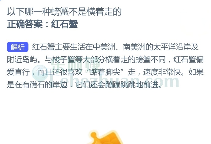 以下哪一种螃蟹不是横着走的?