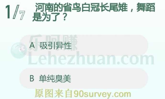 河南的省鸟白冠长尾雉,舞蹈是为了?