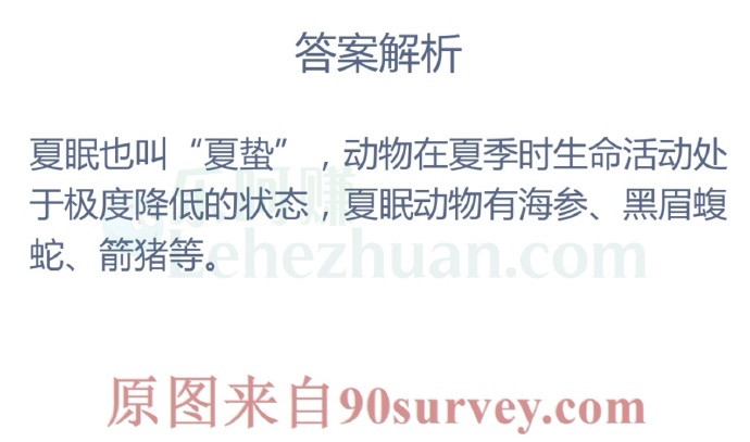 会进行“夏眠”的海洋动物是?