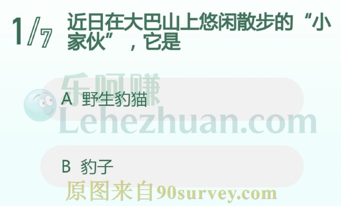 近日在大巴山上悠闲散步的“小家伙”,它是?
