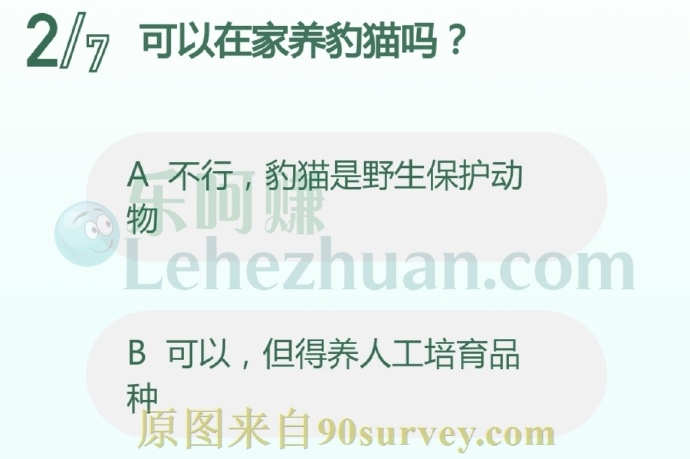 可以在家养豹猫吗?