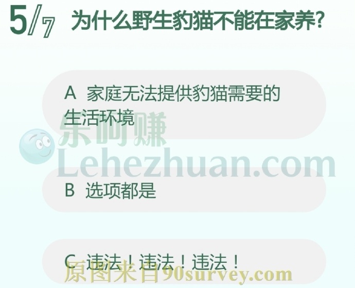 豹猫目前是国家二级保护动物
