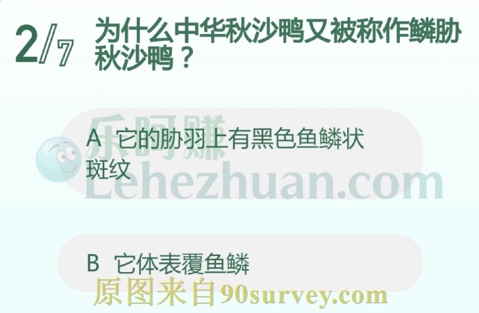 为什么中华秋沙鸭又被称作鳞胁秋沙鸭?