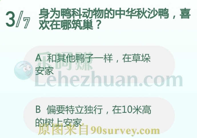 身为鸭科动物的中华秋沙鸭,喜欢在哪筑巢?