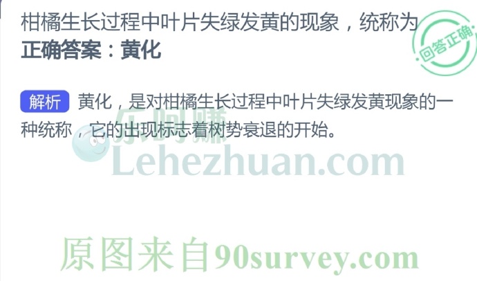 柑橘生长过程中叶片失绿发黄的现象,统称为?