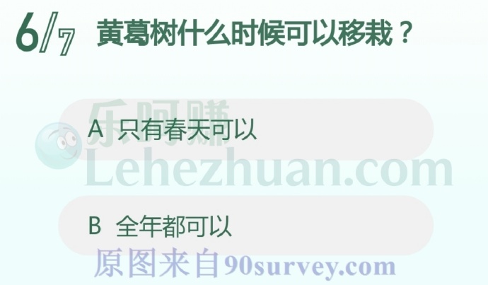 黄葛树什么时候可以移栽?