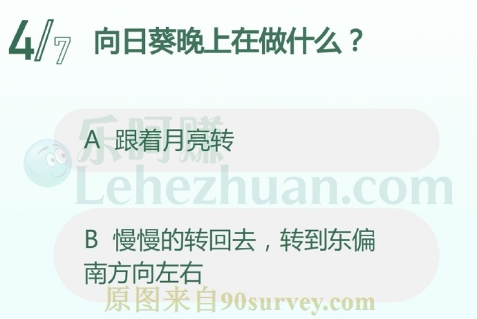 向日葵晚上在做什么?
