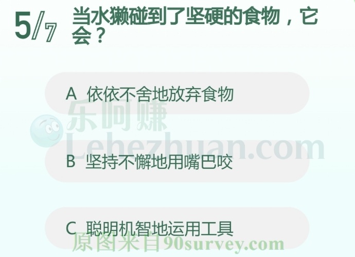 当水獭碰到了坚硬的食物,它会?