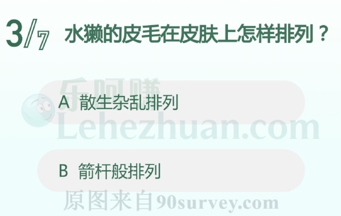水獭的皮毛在皮肤上怎样排列?