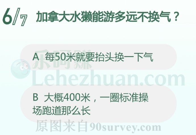 加拿大水獭能游多远不换气?