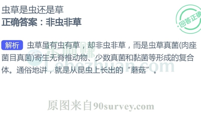 虫草是虫还是草?