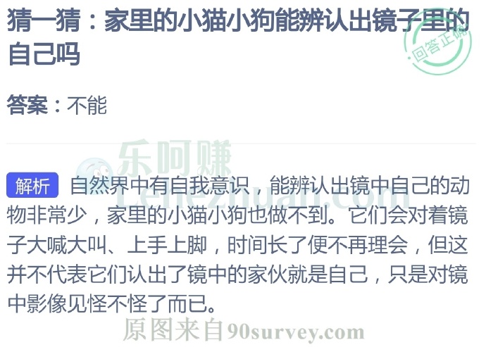 猜一猜:家里的小猫小狗能辨认出镜子里的自己吗?