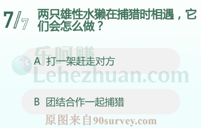 两只雄性水獭在捕猎时相遇,它们会怎么做?