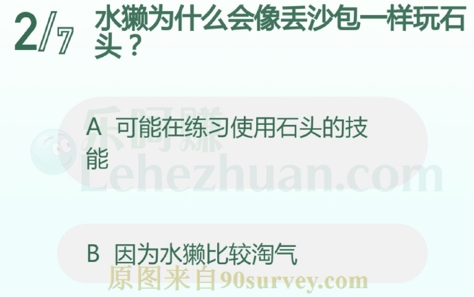 水獭为什么会像丢沙包一样玩石头?