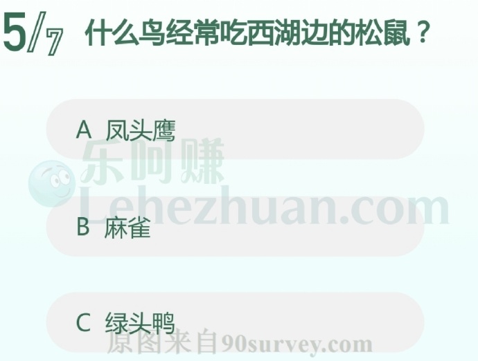 什么鸟经常吃西湖边的松鼠?