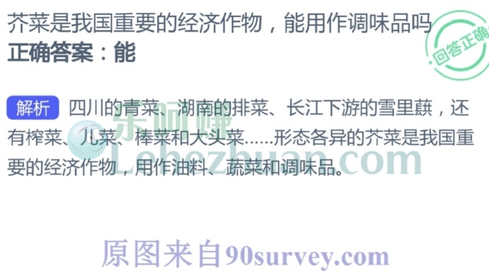 芥菜是我国重要的经济作物,能用作调味品吗?