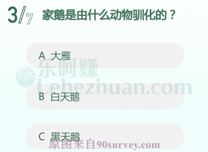 家鹅是由什么动物驯化的?