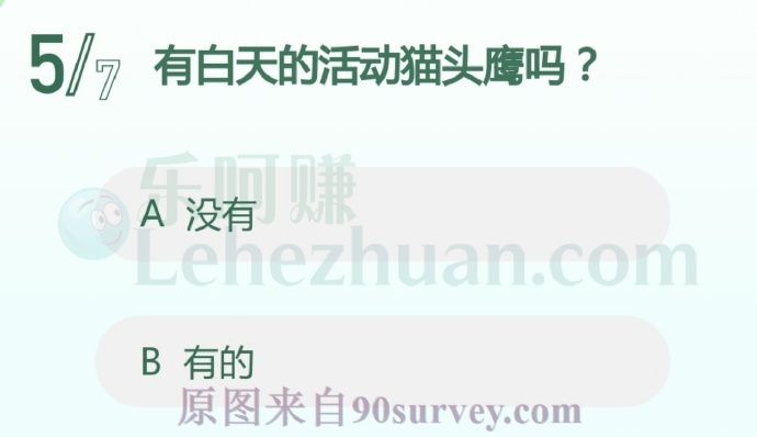 有白天的活动猫头鹰吗?